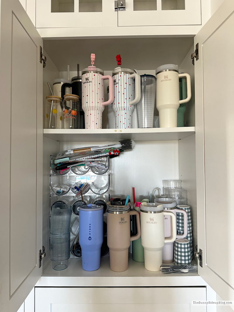 Organized Water Bottles (Sunny Side Up)
